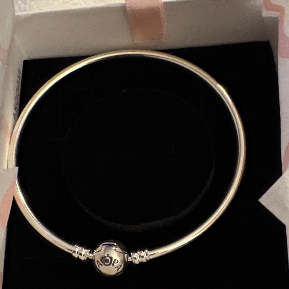 Pandora Moments Bracelet NWOT
